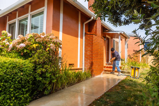 Best Affordable Power Washing  in University Park, IL
