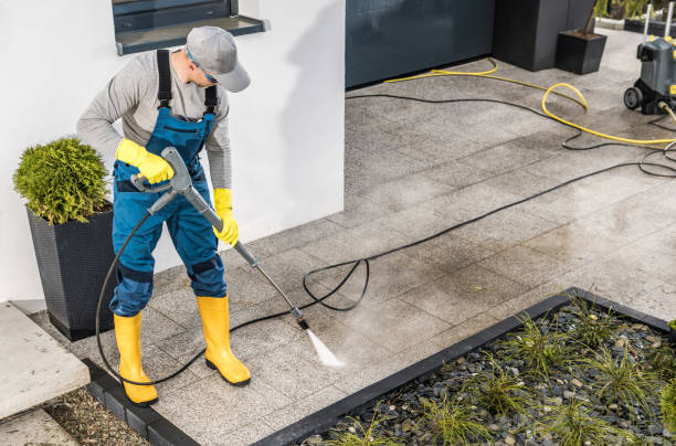 Best Pressure Washing Siding  in University Park, IL