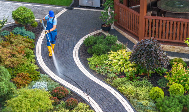 Best Roof Pressure Washing  in University Park, IL