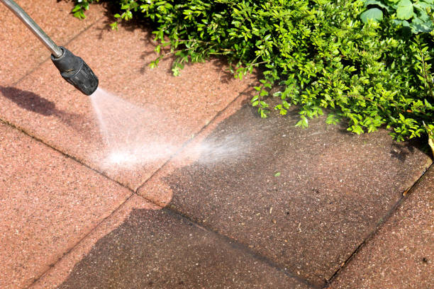 Best Fence Pressure Washing  in University Park, IL